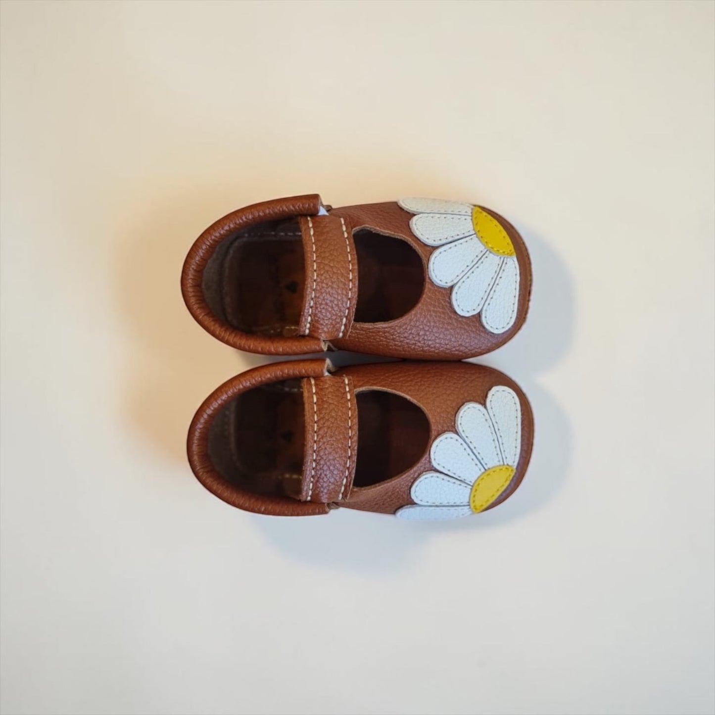 Daisies Camel