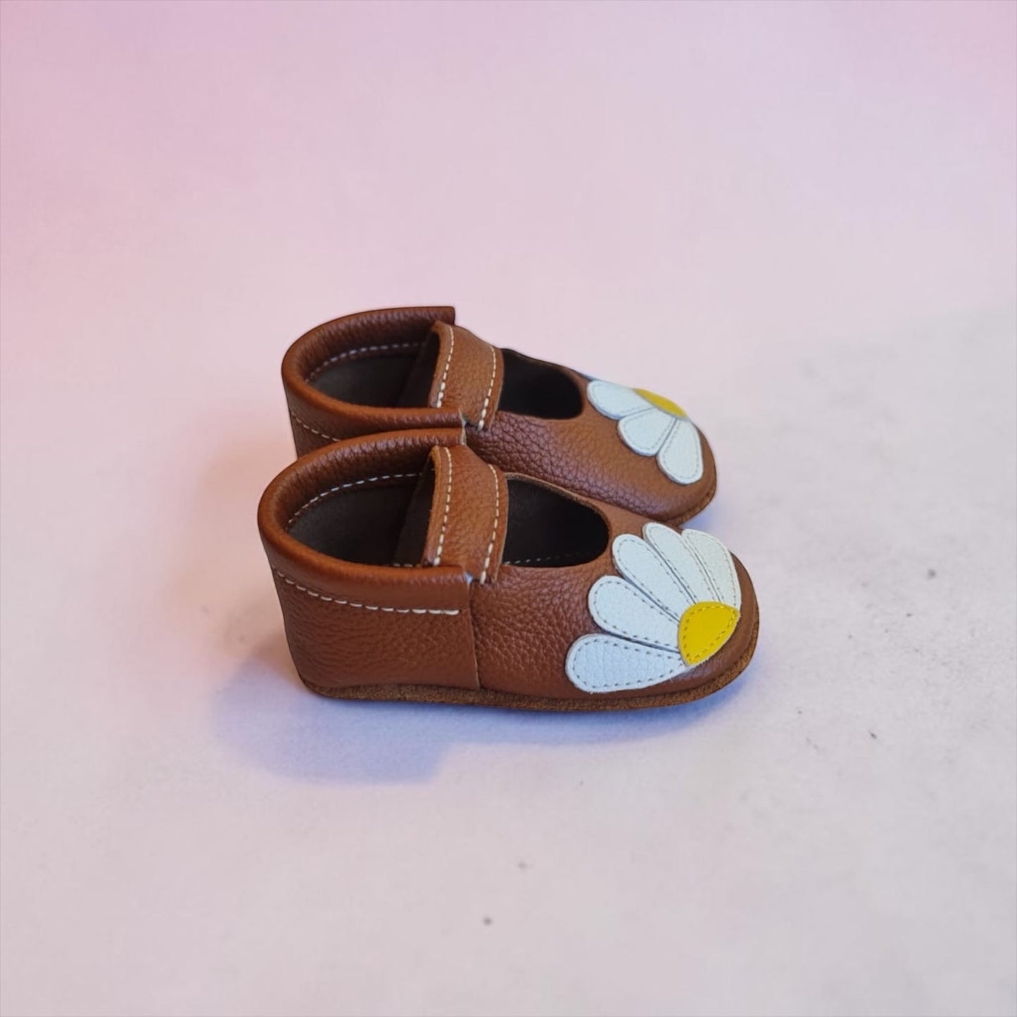 Daisies Camel