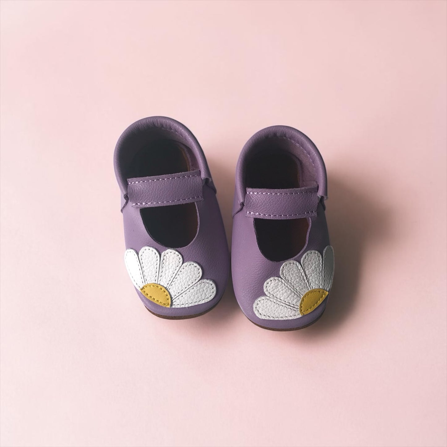 Daisies Lilac