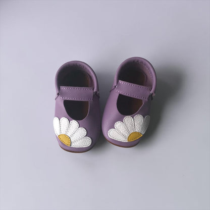 Daisies Lilac